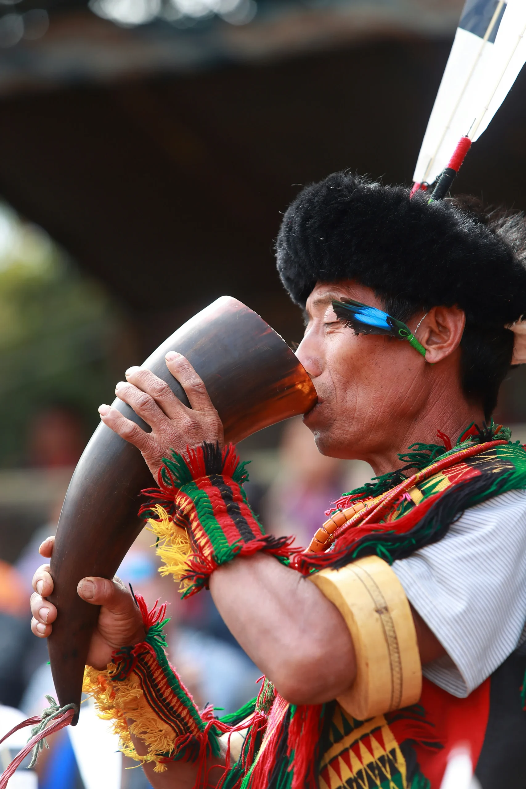 Tourist Places in Nagaland – नागालैंड के प्रमुख पर्यटन स्थल