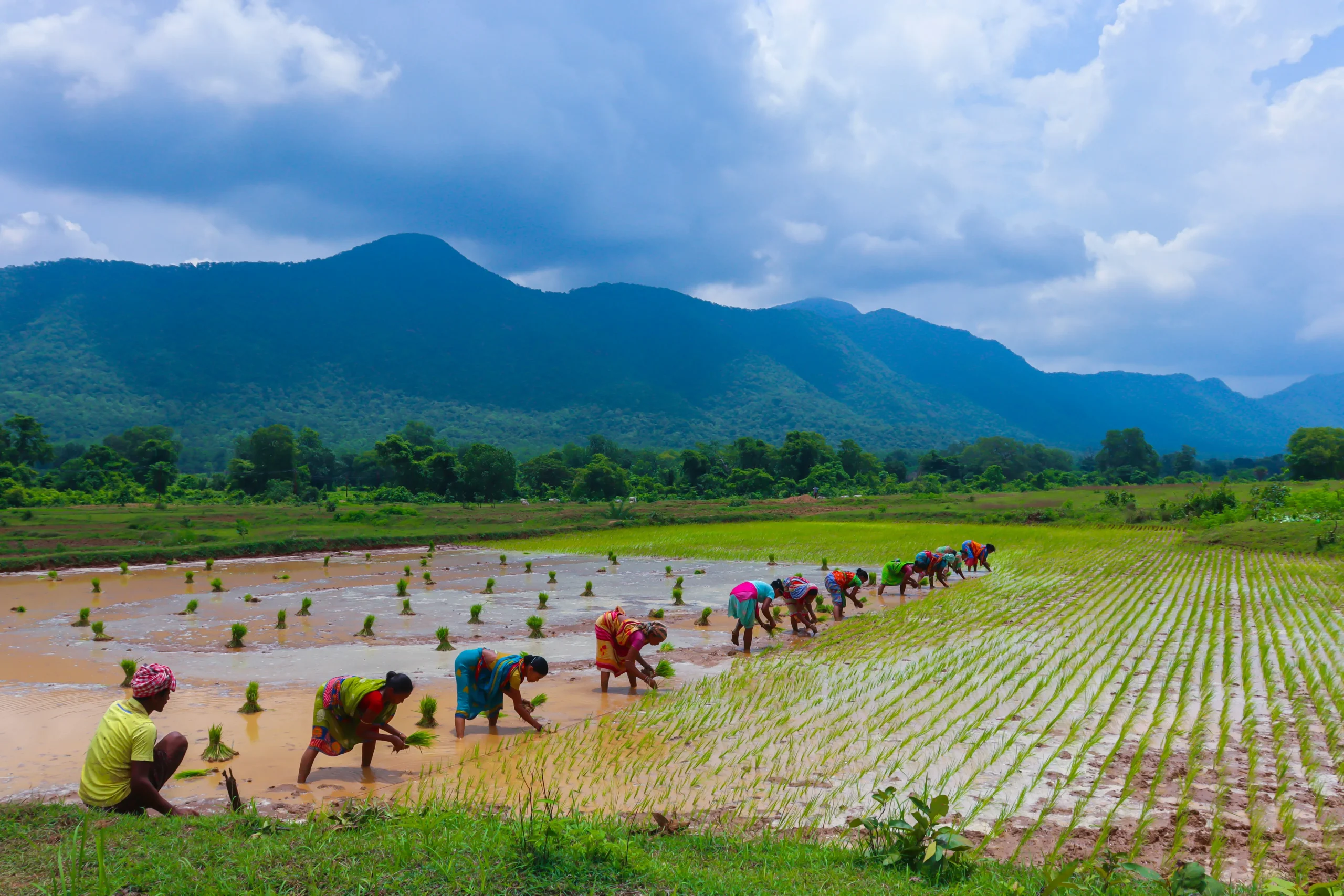 Tourist Places in Odisha – ओडिशा के प्रमुख पर्यटन स्थल